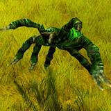 th_IN-HuntingSpider-champ.jpg