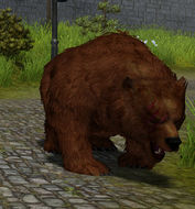 Grizzly - 1.jpg