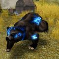 Mutated black bear monster.jpg