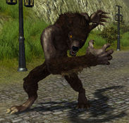 Werewolf - 1.jpg